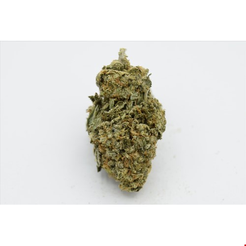 Motor Breath (Hybrid) - SALE 1 OZ $55